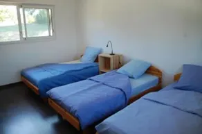 Trähus i dess gröna miljö - Image 4