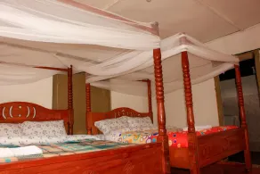 Eco mara forest camp - Image 2