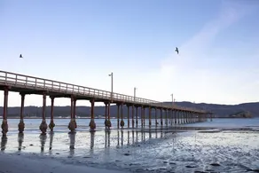 Steps to the Pacific Ocean!  Fully Remodeled... - Image 5