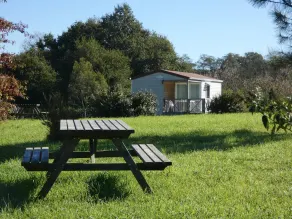 L'anguille - Orist - Gîte - Image 5