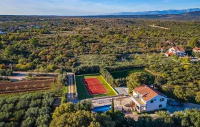 Pet Friendly Home In Polaca - Image 2