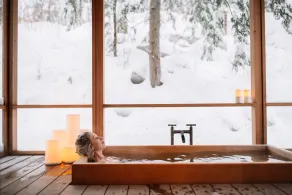 Modernist Haliburton Luxury: 4-Jahreszeiten-Seeseite mit privaten Wanderwegen - Image 4
