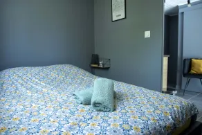1 Bedroom Apartment in Saint-Bauzille-de-la-Sylve - Image 3