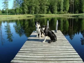 Familjevänlig timmerstuga med bastu bad och fiskesjö. - Image 4