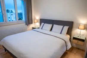 Air-conditioned suite with king-size bed & private parking near Eurexpo and CHU - Image 3