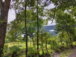 Altico Lola Martínez - Image 4