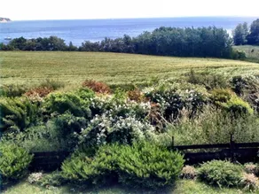 Höfthus 1 - House Ostseeblick - Image 3