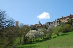 Gîte in the Gers countryside Parc et piscine Les Écrehous - Image 5