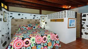 EL MIRADOR DE MÁCHER - FINCA LUCÍA MÁCHER - Image 4