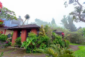 Pacung Indah Hotel & Restaurant by ecommerceloka - Image 4