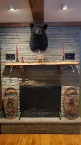 Stylish four seasons retreat in the woods - Image 3