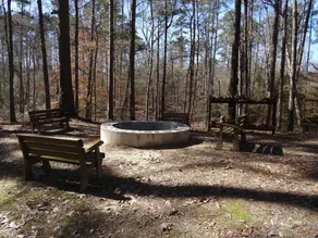 Timberview Lodge - Wooded East Texas åsikter - Image 4