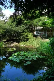 A converted fruit barn, thatched, on 2 floors with 2 bedrooms - Image 5