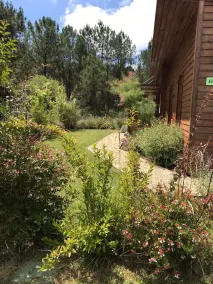 Chalet Atypique au Cœur de la Forêt de Pin - Image 3