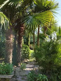 Les 3 Kois - Image 5
