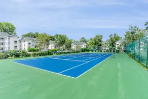 Peaceful views, 10-Minutes from the Ocean and all Amenities  - Image 2