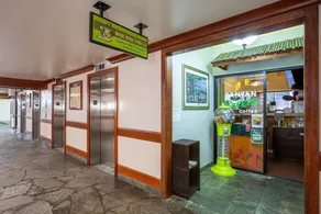 Spacious 14th Floor Corner Suite, Partial Diamond Head and Ocean Views, FREE Parking! - Image 4