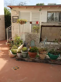 Luxury South West Jerusalem Garden Appt nestled next to Jerusalem's Pine Forest - Image 4