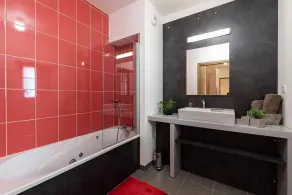 Superbe appartement pour 6 avec terrasse, jardin privé, Wi-Fi gratuit et parkings - Saint-Lary Centre - Image 4