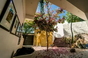 Villa d'art avec vue sur la montagne au cœur d'une forêt - Image 4