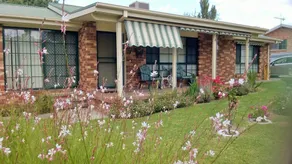 Butterfly Cottage - Animaux acceptés Tumut - Image 5
