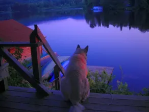 Adirondack Lakeside Log Cabin With Mountain Views - Image 2
