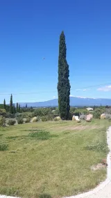 Le Cottage du Chat Blanc, Saint-Didier, Provence, 4 pers, climatisation, piscine - Image 5