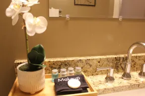 131 Cedar 3 · Charming 2BR Luxury Apartment in Downtown Kalamazoo - Image 4