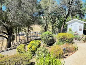 Tranquil & clean 5-acre getaway - Image 5