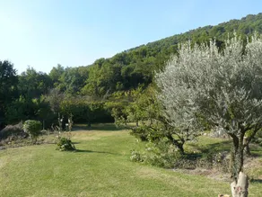 Villa 4 km fra Vaison la Romaine, enestående udsigt på Mont Ventoux - ro på 2,5 hektar jord (oliventræer, frugttræer, trøffel ...) - Image 5