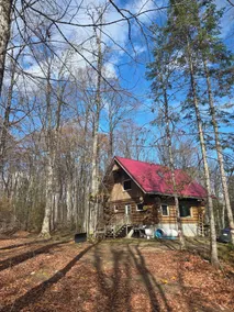 Lake Front Log Cabin - Image 5