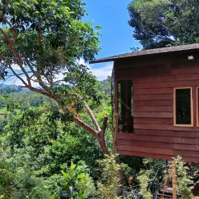 Romantic Huts on a Mountain with a Natural Stream - Image 2