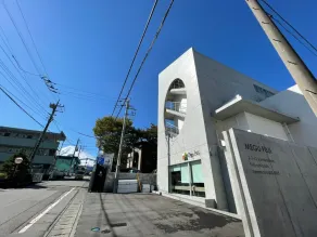Megu Fuji 2021 - Image 3