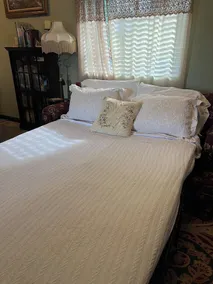 Relaxing Getaway in Historic Benicia - Image 4