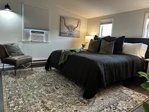#2 Chestnut new lovely 2BR Apt 0.5 mile to Cooperstown All Star Village  - Image 4