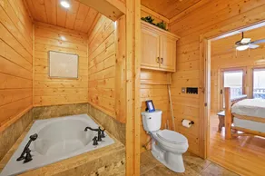 River Birch Hideaway - Mt Views, Hot Tub, Game-Theatre Rm, Fishing Pond, Mins to PF! - Image 5