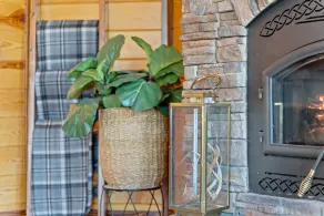 Upscale Lakefront Table Rock Cabin with nearby Launch - Image 2