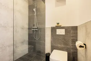 Fantastic luxury apartment in Salzburg's ski paradise - Image 3