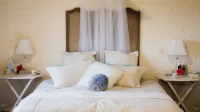 Pear Tree Hollow Cottage - Image 2