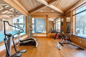 WiFi, 200 m fra skiløjperne, fitness, swimmingpool, terrasse, balkon, fjernsyn, skiopbevaring - Image 2