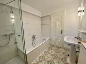Haus-Seemoewe - Image 3