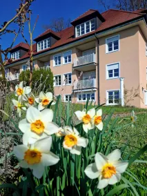 Exclusive country house with holiday apartments with dream garden and idyllic tranquility - Image 5