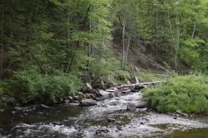 Private Riverfront Catskills Retreat w/ Hot Tub - Image 3