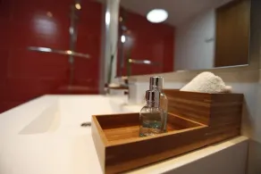 LUXURY HIGH MOUNTAIN CHALET I LOS PIRINEOS - Image 5