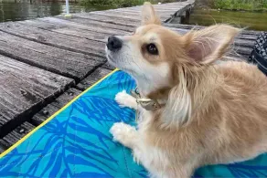 Pet Friendly \"Reel Chill\" Lakehouse - Image 2
