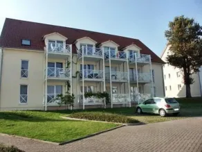 Schimmer - Image 5