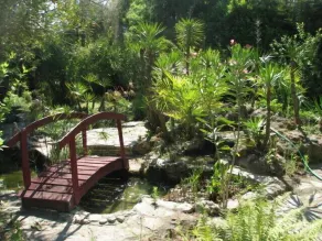 VERY LARGE AND PLEASANT HOUSE IN A GREEN HAVEN OF 4000 M² WITH POOL - Image 5