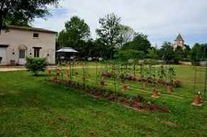 Maison Indépendante Dans un Petit Village Typiquement Quercinois - Image 5