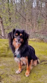 Cozy Studio-Ap \"Kleine Auszeit\" 🐕‍🦺 friendly +terrace + garden, various extras - Image 5