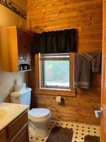 FREE wood for fireplace & fire pit Majestic Log Home on shores of Lake Michigan - Image 2